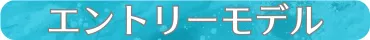 エントリーモデル