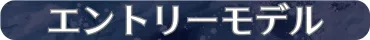 エントリーモデル